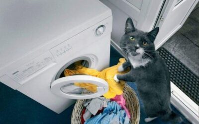 Кнопка ЖОПА или чего не хватает стиральным машинкам