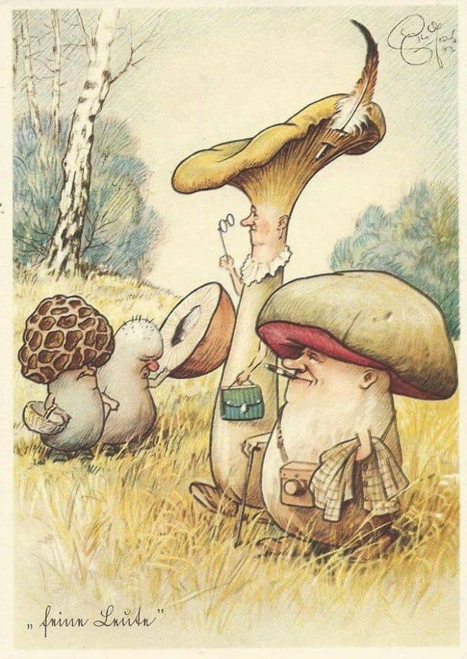 Слава Сэ — о мифическом явлении под названием грибы. Лес, грибы, лёгкий хаос. Намёк на сатиру и абсурд.