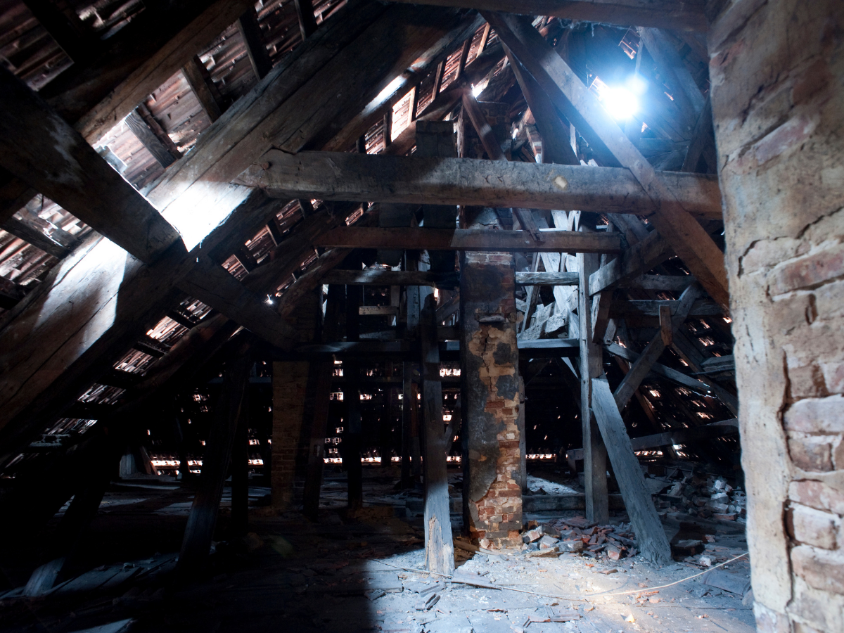 🧹 Чердак Психолога. Крыша уехала