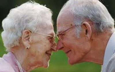 50 лет вежливости