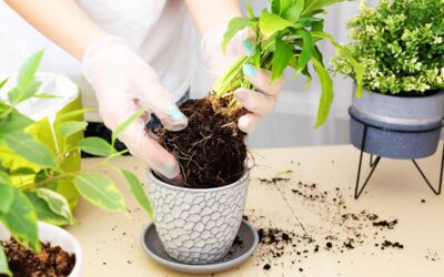 Самопомощь от садоводов