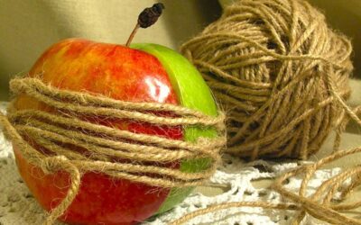 Половинки яблока