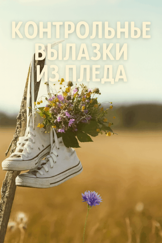 Надпись «КОНТРОЛЬНЫЕ ВЫЛАЗКИ ИЗ ПЛЕДА» на фоне поля и забора с висящими кедами и цветами. Лето, ветер и ощущение, что ведьмы тоже вылезают иногда.