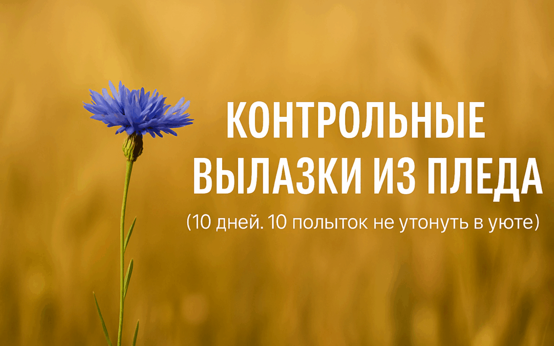 Одинокий василёк на фоне золотого поля. Тепло, покой, но не тишина — что-то внутри уже двинулось. Начало без обещаний, просто потому что да.