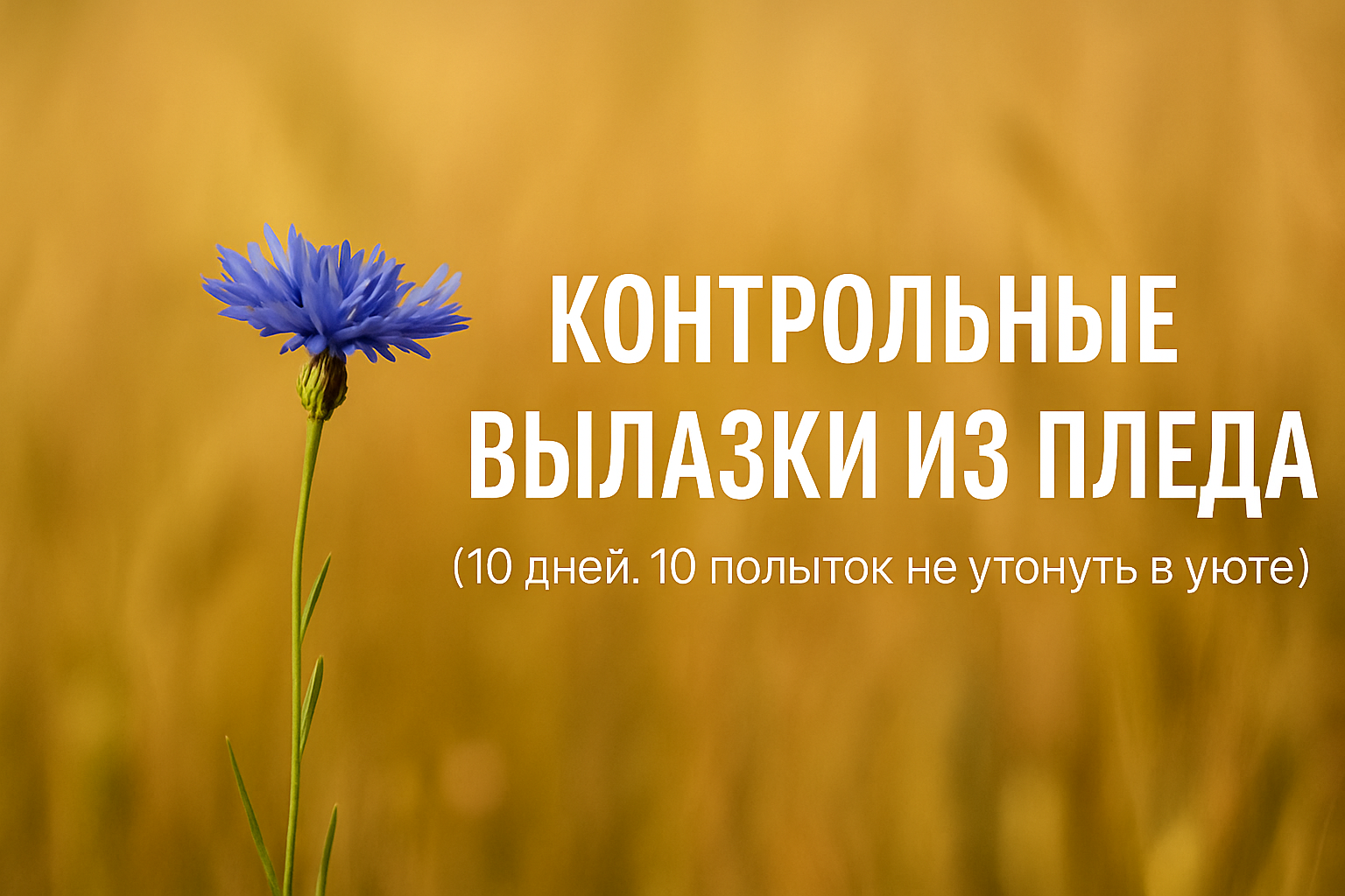 Кицаца вздрогнула