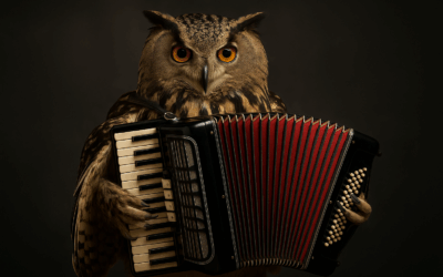 Легенда о Сове, энергетике и баяне