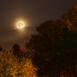 Луна в облаках на осеннем небе.