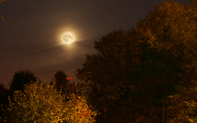 Ведьма воет на Луну