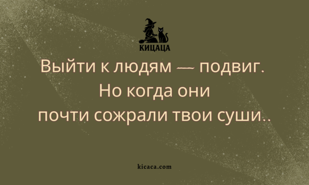 Кицаца. Возвращение через суши