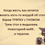 Кот в ведьминской шляпе с чашкой в лапах смотрит в пустоту. На фоне текст: «Когда жесть как хочется повозить кого-то мордой об стол… Берем тряпку с гномом. Трём стол и выдыхаем. Новогодний вайб… и терапия.»