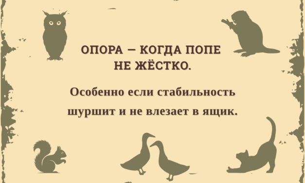 Психолесье. Встреча 11: Опоры из скидок