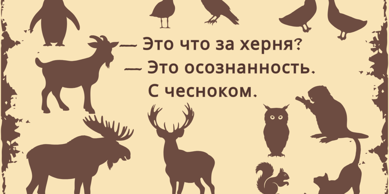 Психолесье. Встреча 15: Пустота и ожидание