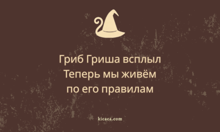 Гриша, или Когда питомца не надо было трогать
