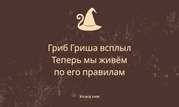 Гриша, или Когда питомца не надо было трогать