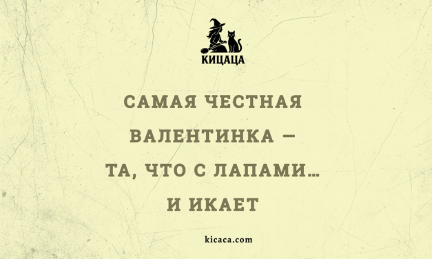 Валентинки, или Жопа вместо сердца