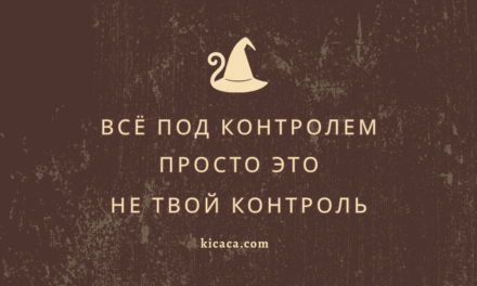 Контролёр прибыл, или Когда твой енот — это диагноз