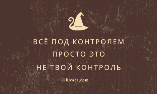 Контролёр прибыл, или Когда твой енот — это диагноз