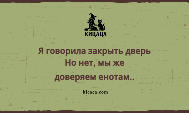 Ночная ревизия, или Контролёр не спит. Никогда