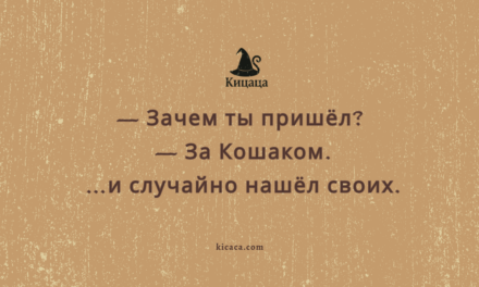 Психолесье. Встреча 18. Весна, поляна, и один лишний енот