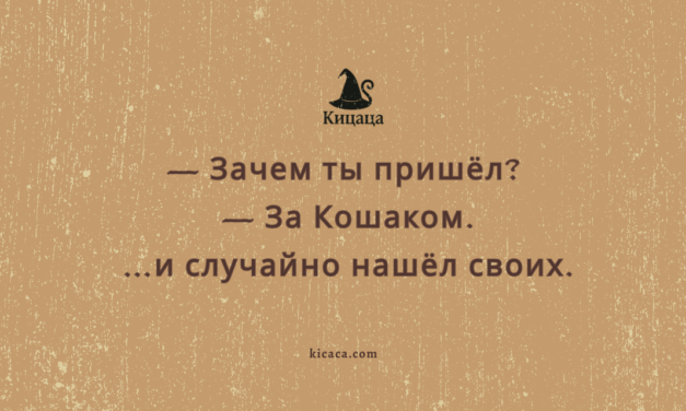 Психолесье. Встреча 18. Весна, поляна, и один лишний енот