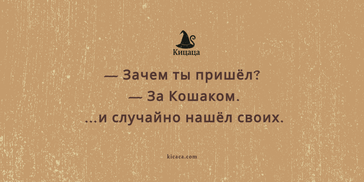 Психолесье. Встреча 18. Весна, поляна, и один лишний енот